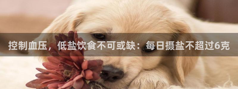 威九国际网站入口官网首页
