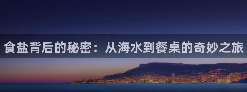威九国际软件公司简介