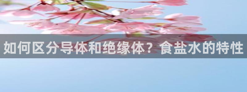 威九国际免费