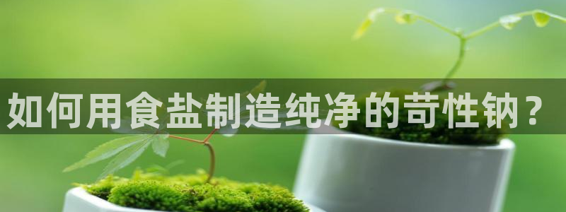 威九国际精忐