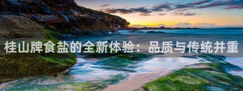 威九国际Info