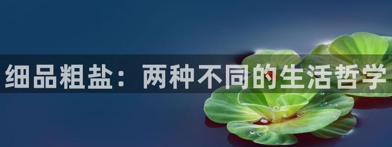威九国际ft