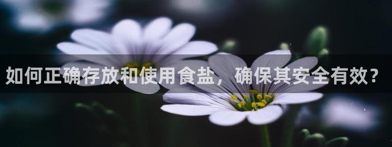 威九国际清砖码
