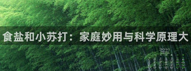 78mapp威九国际成全视频