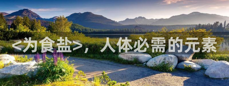 威九国际免费进入
