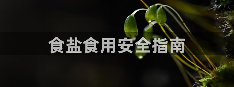 威九国际66m66