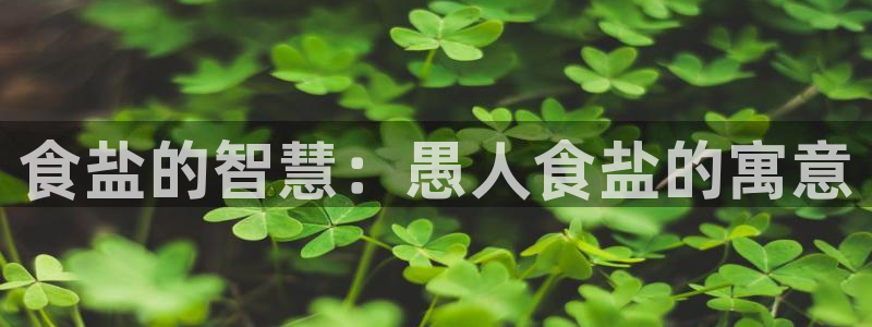 威九国际com