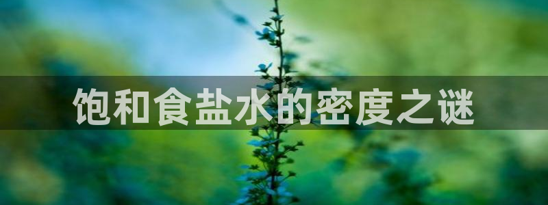 威九国际网站客服电话多少号