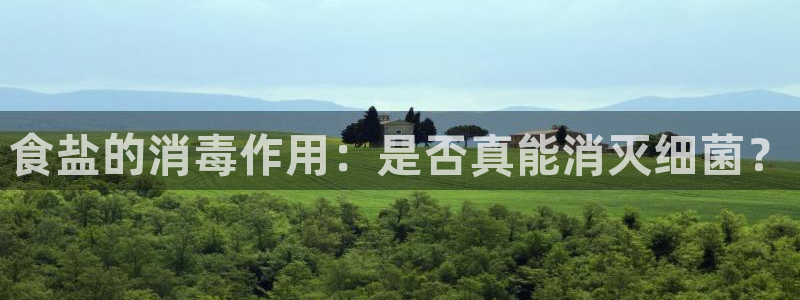 78mppt威九国际