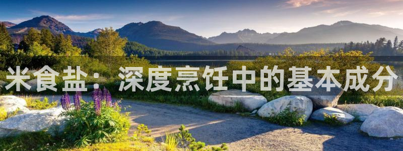 威九国际78m小说