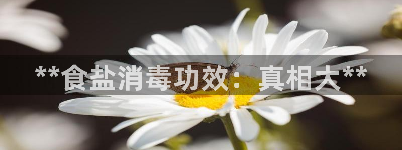 威九国际小广告