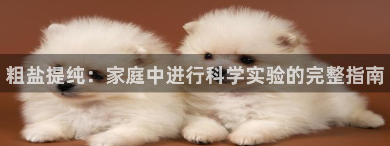 威九国际网站影视