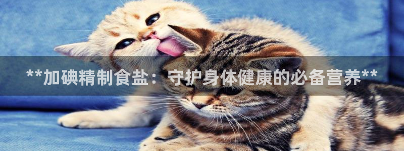 78m.ppt威九国际官网版