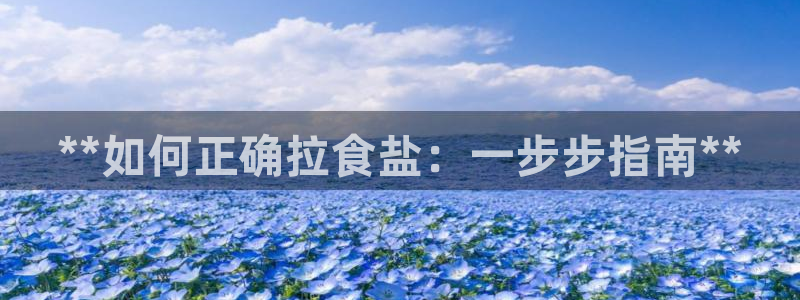 威九国际小说