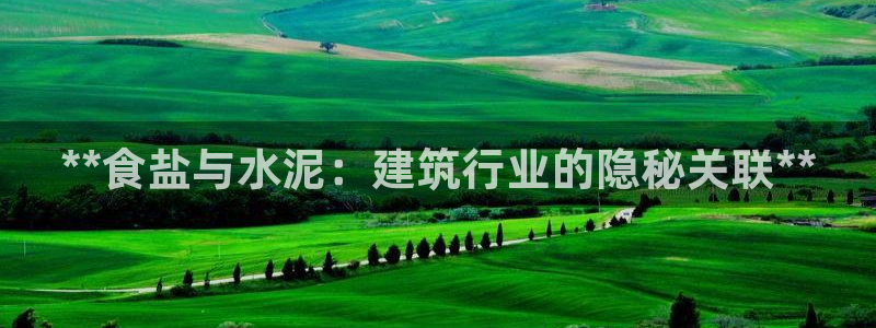 威九国际网站游戏