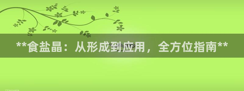 威九国际X8