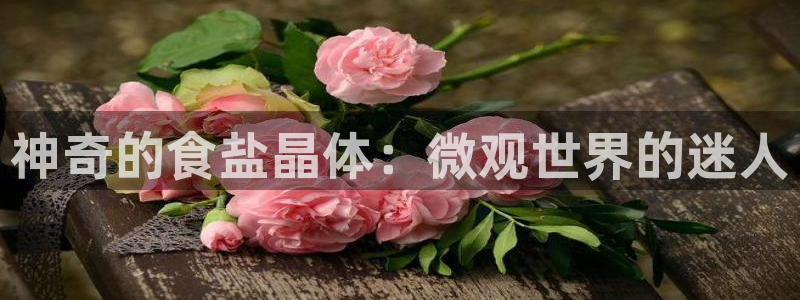 威九国际提款不出来