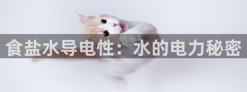 威九国际网站更新