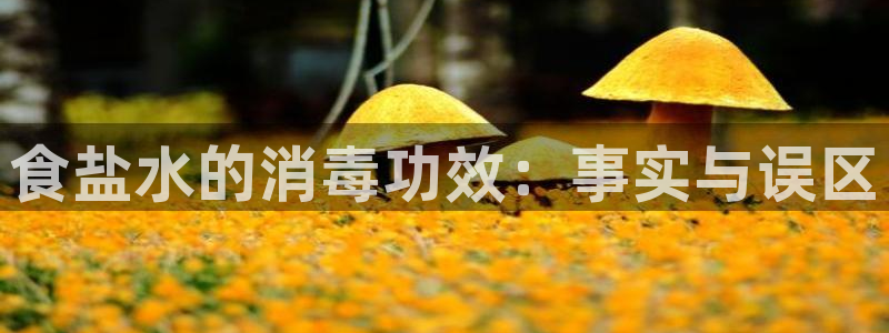 威九国际女主名字