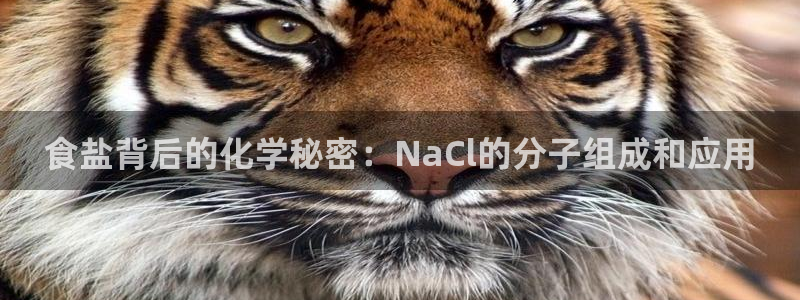 威九国际官网版下载