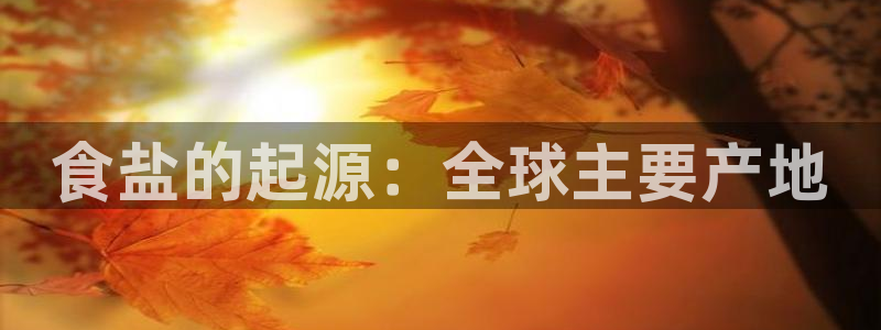 威九国际网站登录