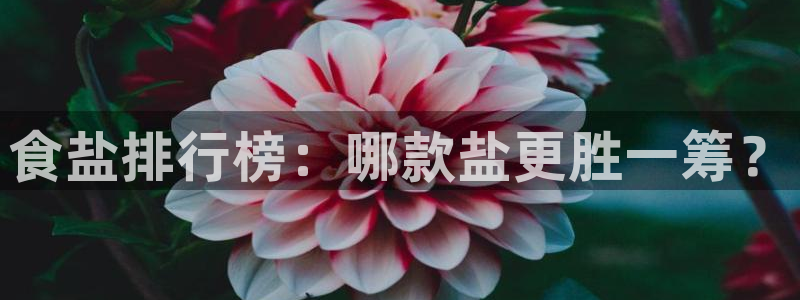 威九国际app网站