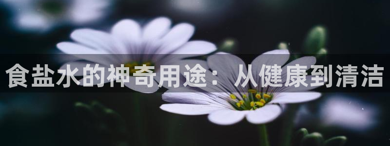 威九国际v9