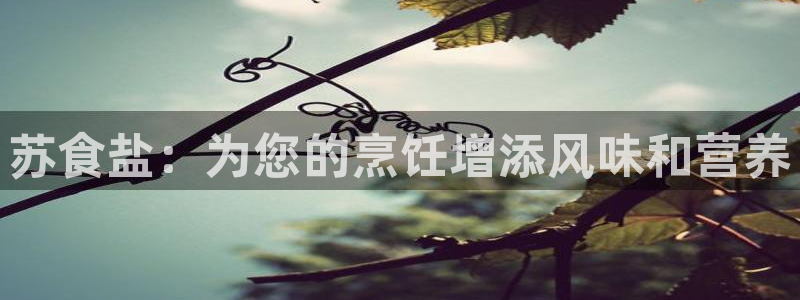 威九国际网站进入客服中心怎么退出