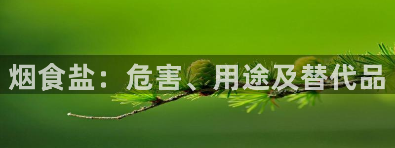 威九国际网站客服电话多少