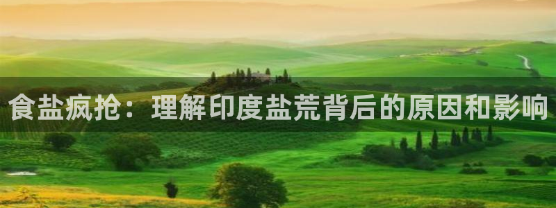 威九国际v8