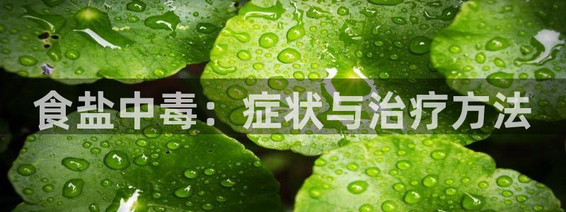 威九国际精