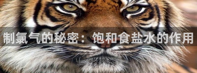 威九国际网站经常打不开