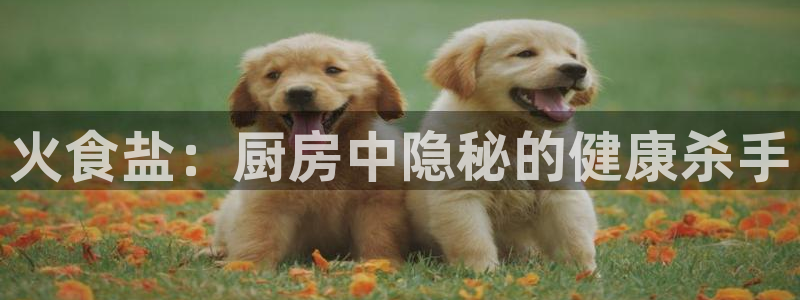 威九国际真人游戏
