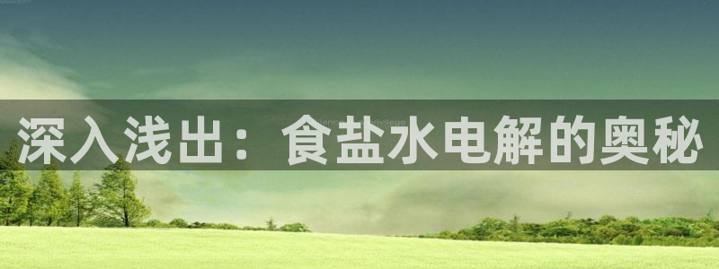 威九国际软件公司简介