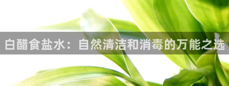 威九国际的金融服务有哪些