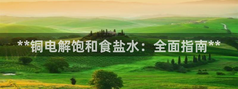 威九国际狂飚电影