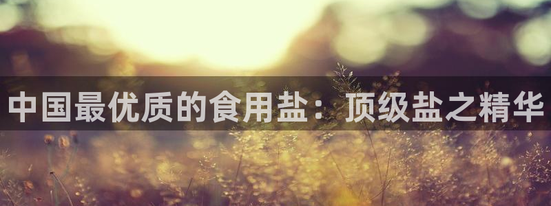 威九国际ppt免费
