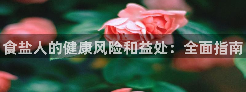 威九国际下载