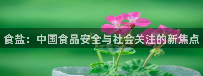 威九国际清砖码