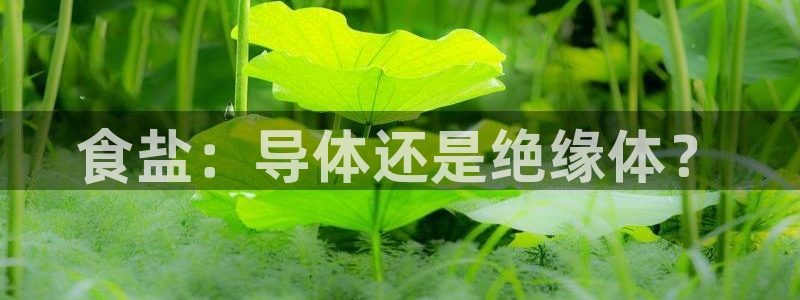 威九国际网站游戏