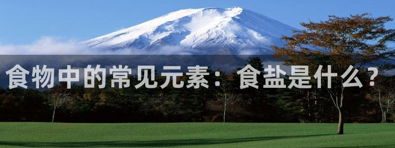 威九国际网站怎么样可靠吗