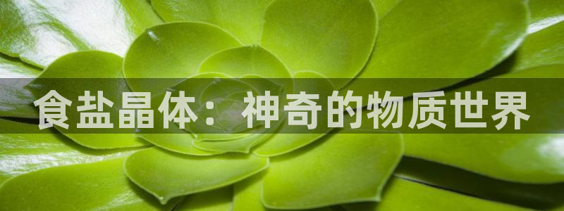 威九国际人民网