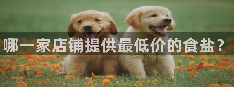 威九国际APP入口