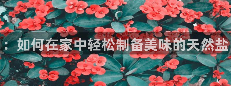 威九国际精彩推荐