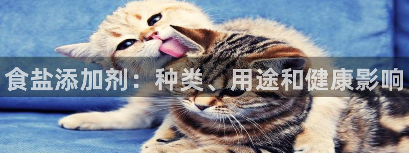 威九国际替好友去