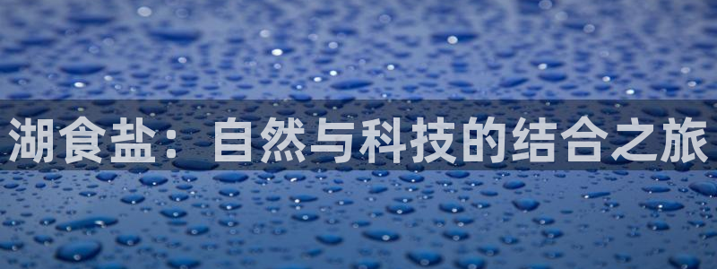 威九国际网站入口地址在哪里