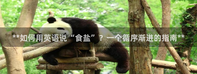 威九国际官网登录入口下载