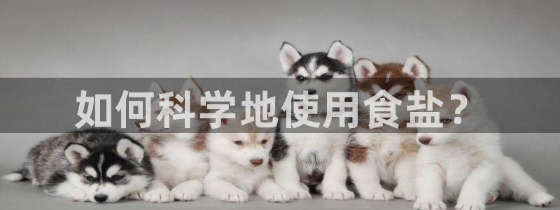 威九国际78mob游戏亮点