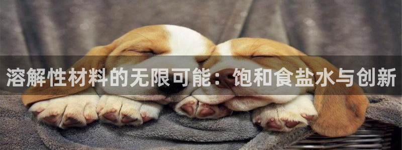 保定威九网络科技有限公司电话